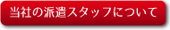 ミニSLレンタル.com