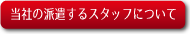 ミニSLレンタル.com