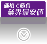 価格で勝負業界最安値　ミニSLレンタル.com